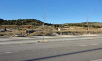 Un perro muerde a un corredor en El AlamÃ